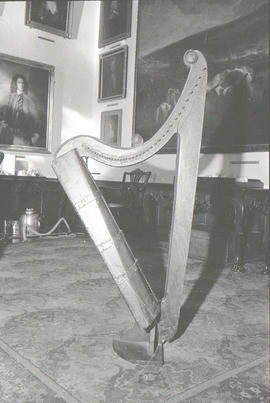 Various, harp [negative] / Liam McNulty