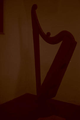 Harp [negative] / Liam McNulty